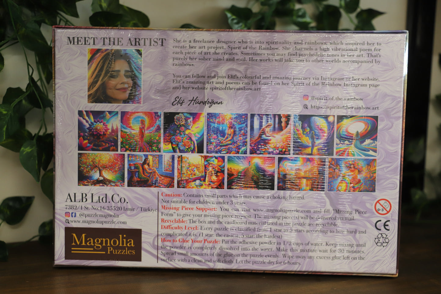 Path To Wisdom 1000pc