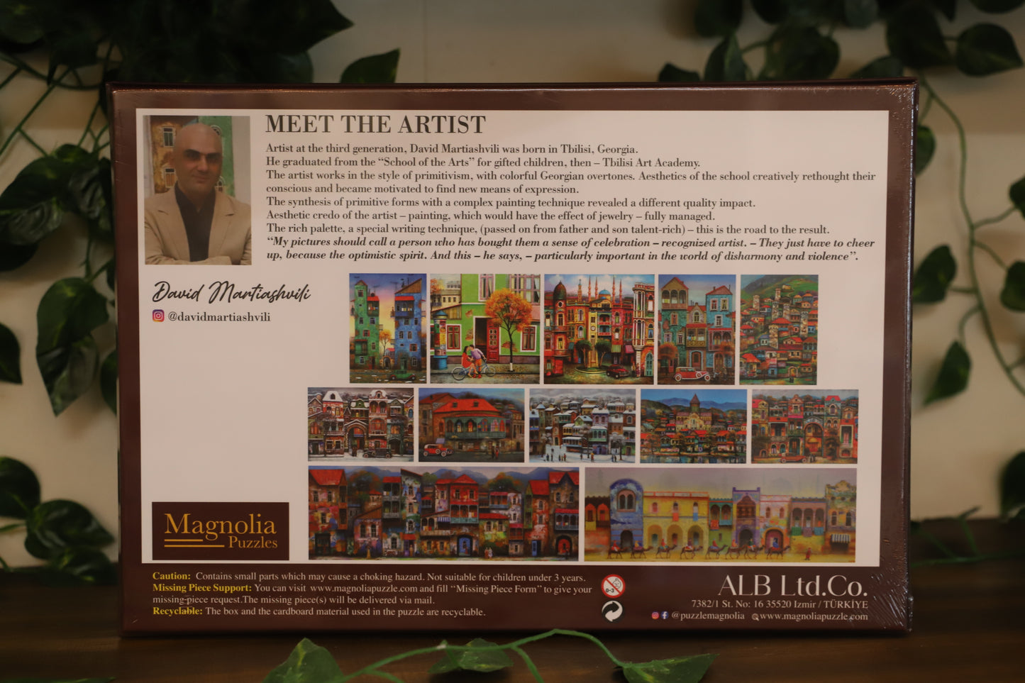 Beautiful Village 1000pc