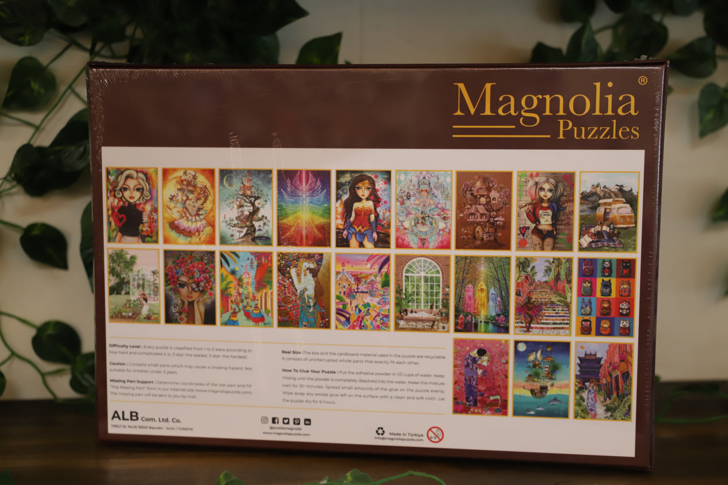 House And Turtle 1000pc