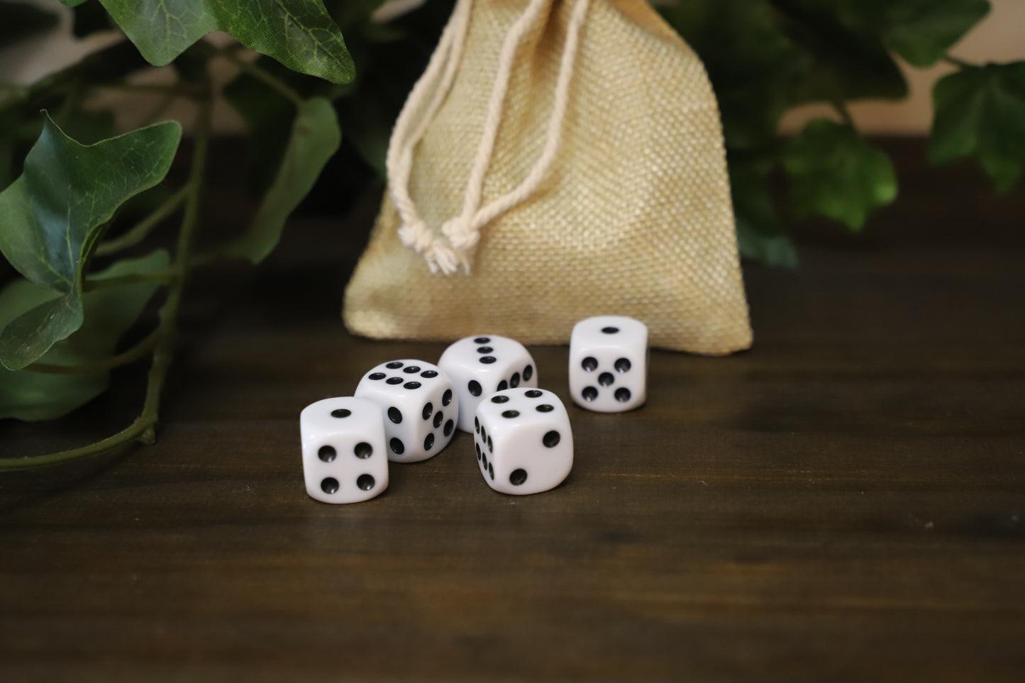 Bag Of 5 X D6 Dice