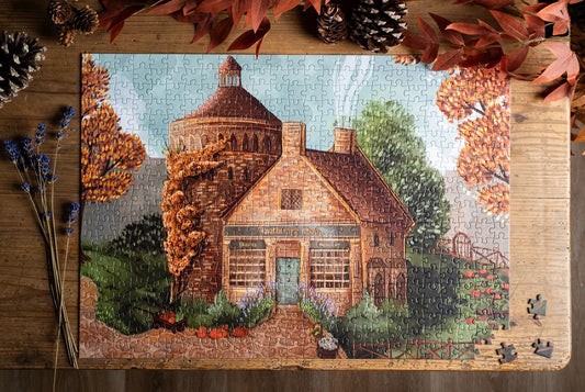 Apothecary's Shop 500pc