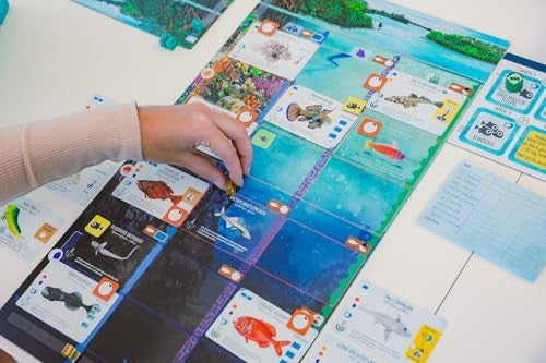 Finspan