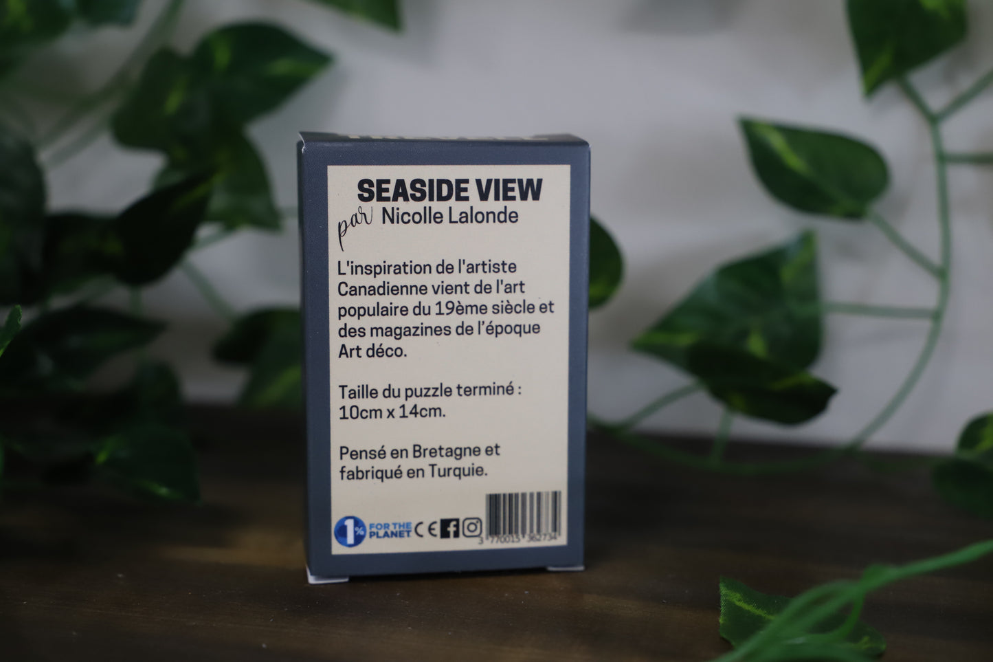 Seaside View 99pc