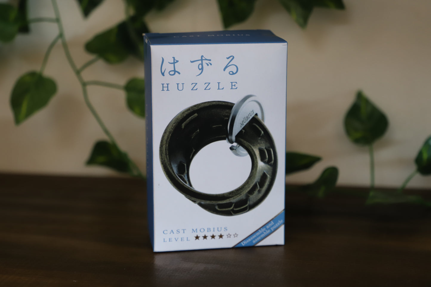 Huzzle Cast Mobius