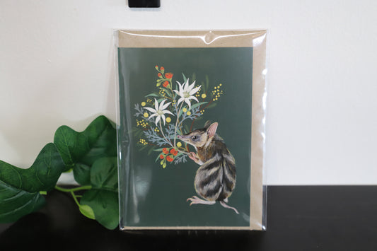 Bandicoot Greeting Card