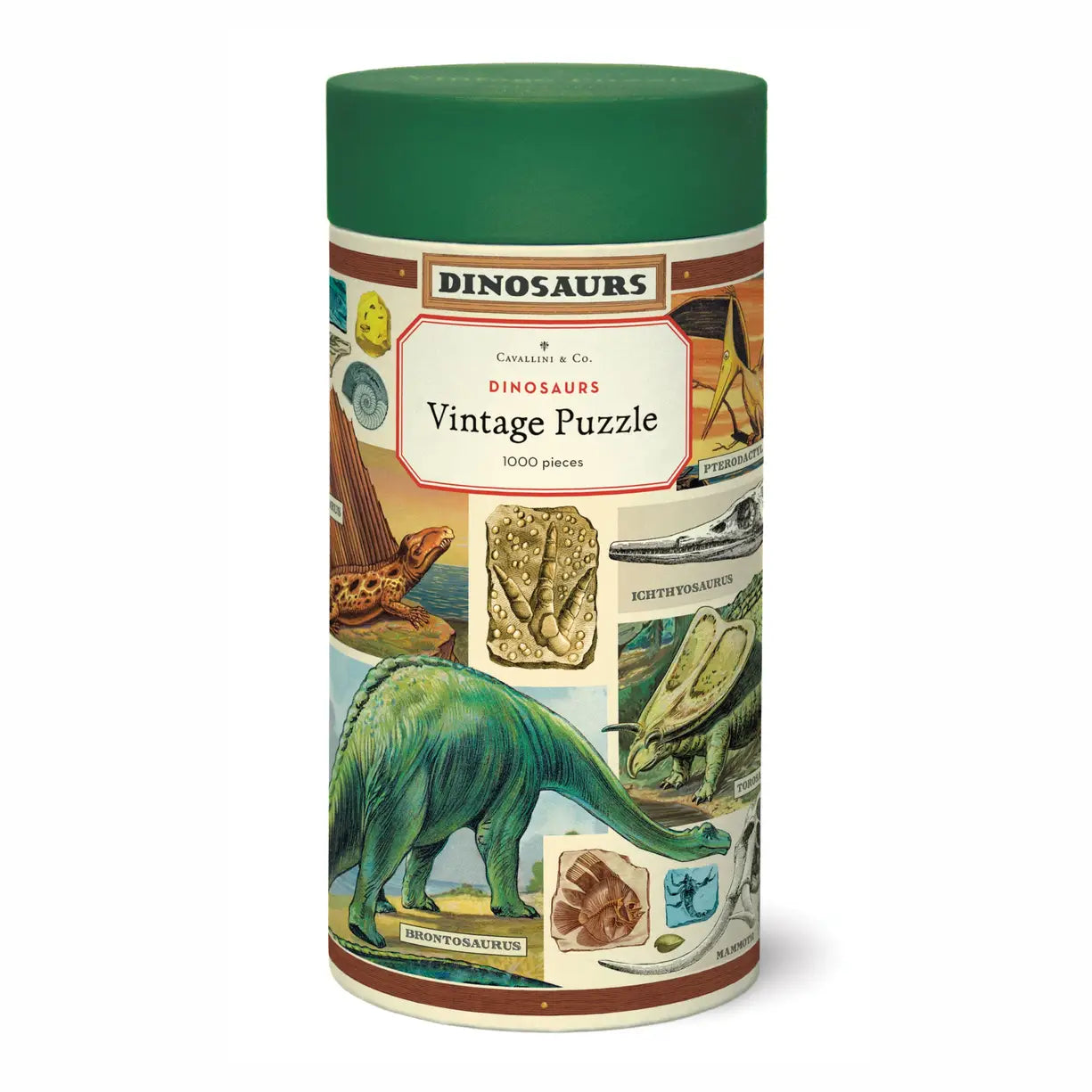 Dinosaurs 1000pc