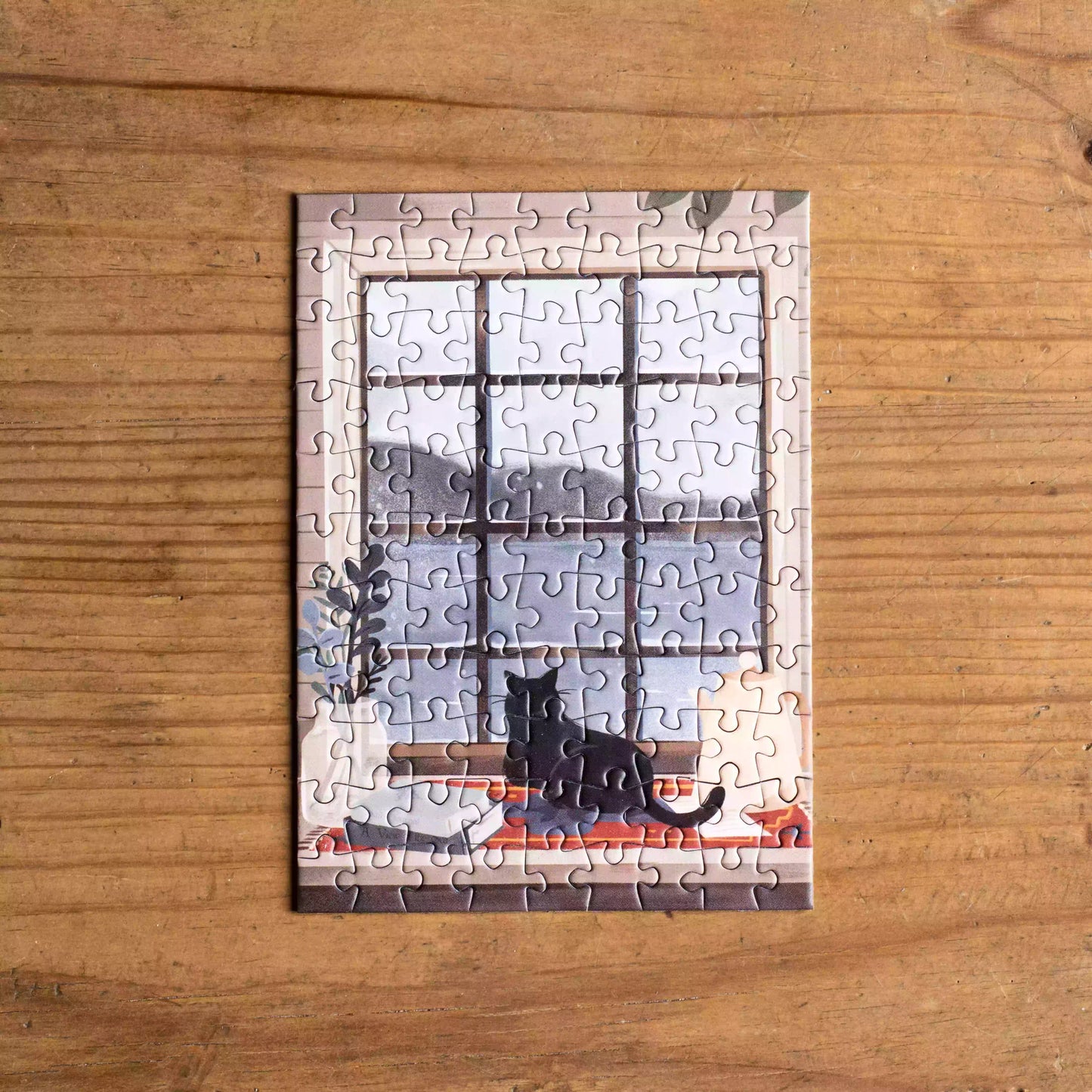 Seaside View 99pc