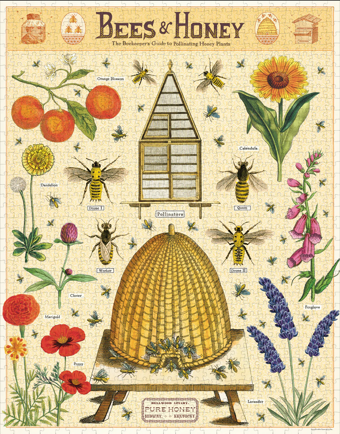 Bees & Honey 1000pc
