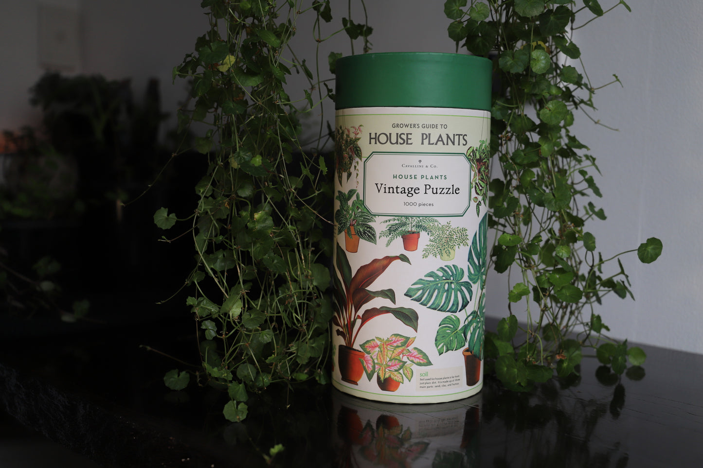 House Plants 1000pc