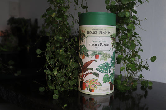House Plants 1000pc