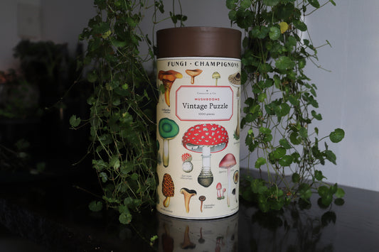 Mushrooms 1000pc